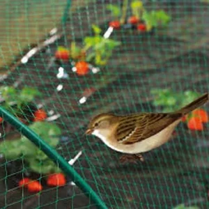 Anti Bird Nets