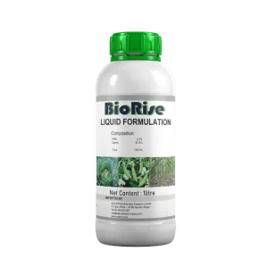 Biorise SL