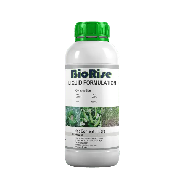 Biorise SL