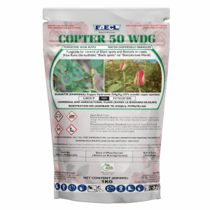 Copter 50 WDG