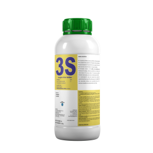 3S
