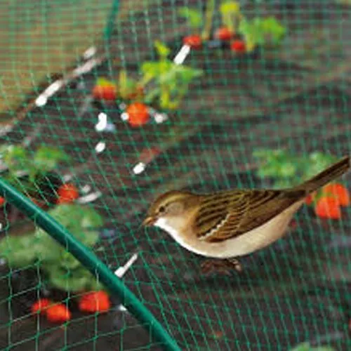 Anti Bird Nets