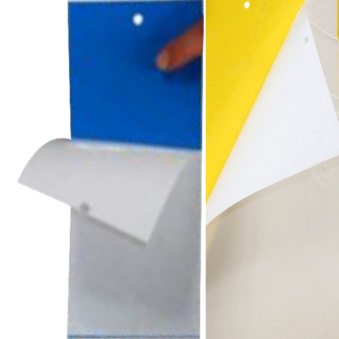 Catch Master Cards (Blue and Yellow)