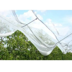 Anti Hail Nets