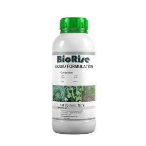 Biorise SL