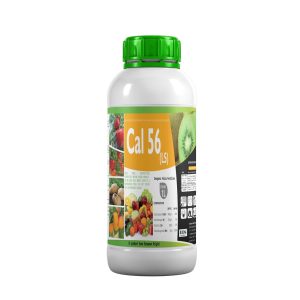 Cal 56