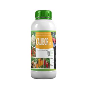 Calibor