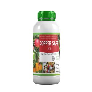 Copper Safe
