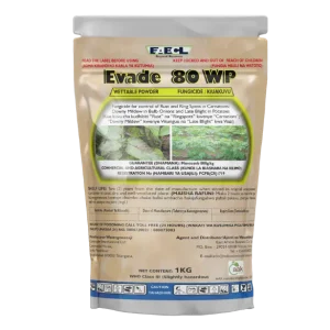 EVADE 80 WP