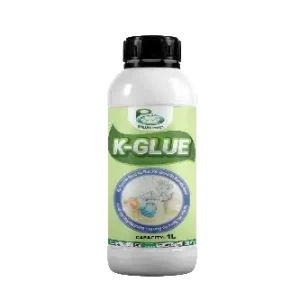 K Glue