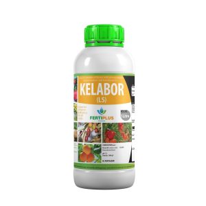 Kelabor