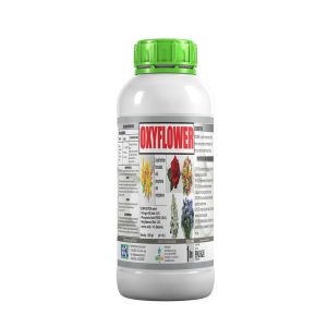Oxyflower