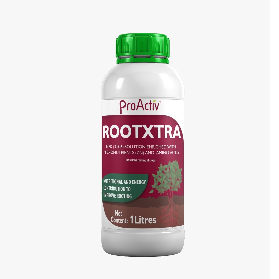 RootXtra
