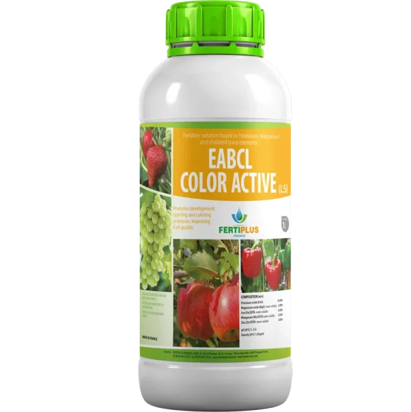 Color Active – EABCL