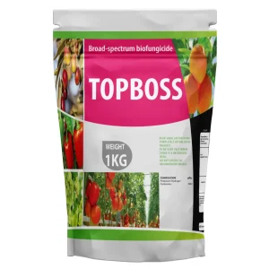 Topboss