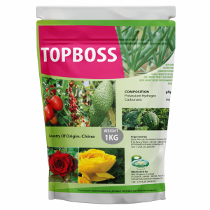 Topboss