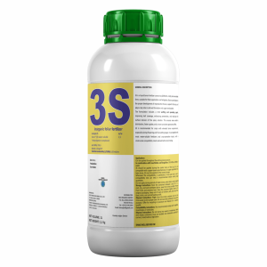 3S