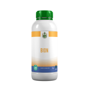 BION
