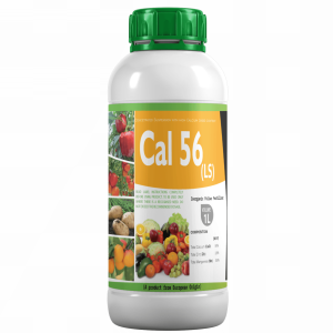 Cal 56
