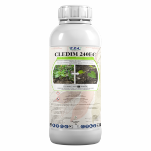 Cledim 24 EC