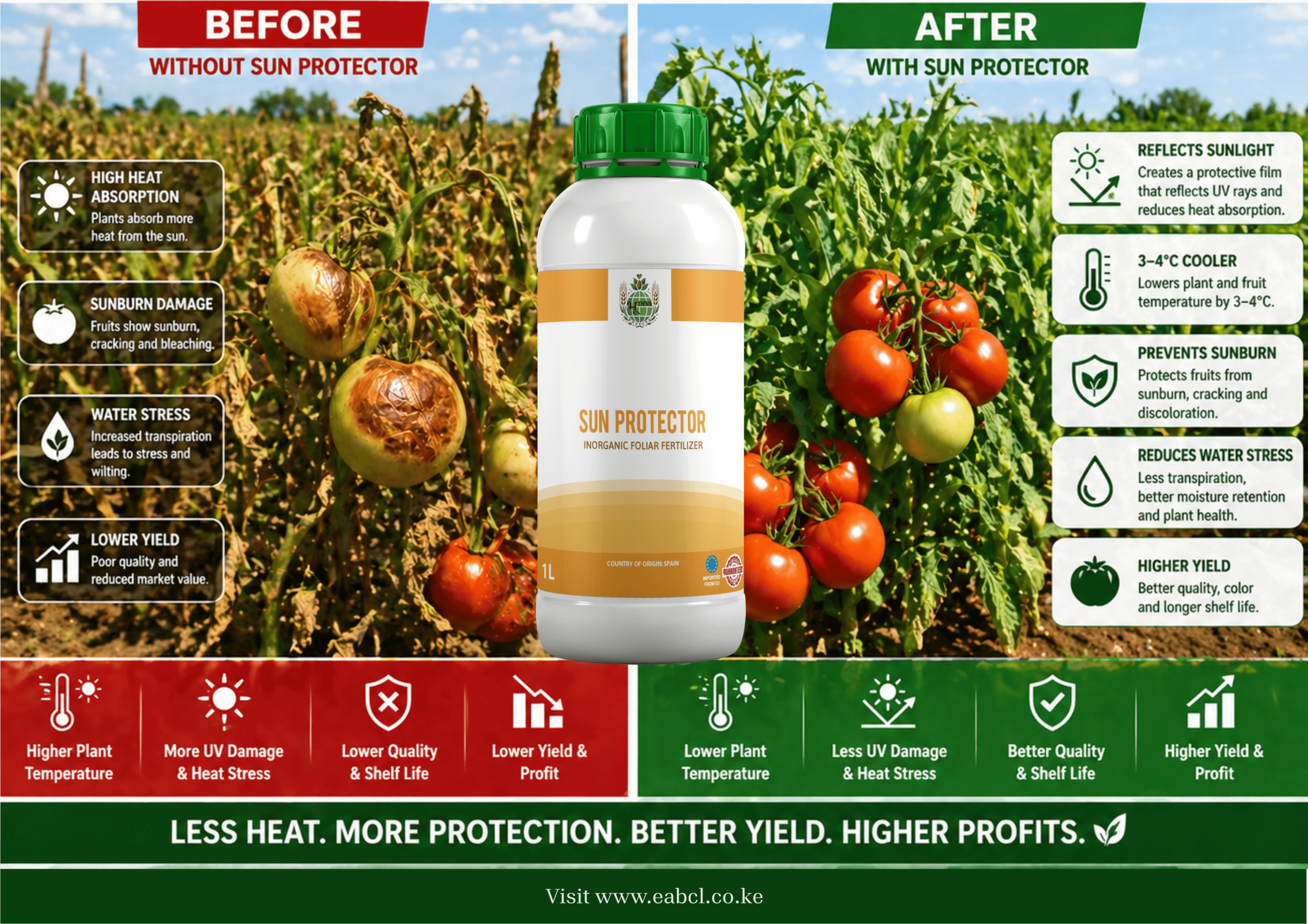 Sun Protector - Image 2