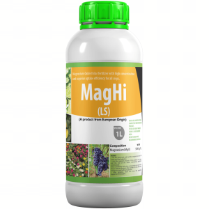 MagHi