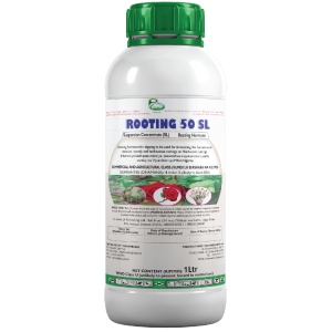 Rooting